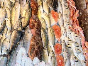 Balıkesir Su Ürünleri Fiyatları 04.12.2018