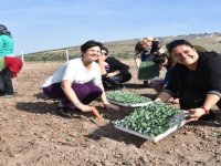 Aliağalı Üretici Kadın Çiftçiler Tarlaya İndi