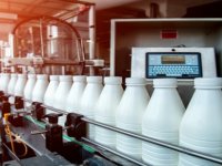 Süt Üreticileri Çin Sayesinde Nefes Alacak