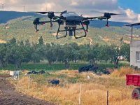Kınık Belediyesi Drone İle İlaçlama Çalışması Başlattı