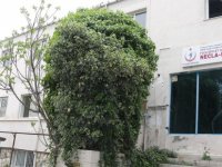 Foçalılardan İmza Kampanyası “Eski Devlet Hastanesi Satılmasın”