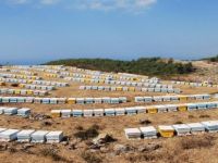 FETÖ, Arıcıları da Mağdur Etti