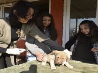Sarayköy’ün Minikleri Sokak Hayvanları İçin Seferber Oluyor