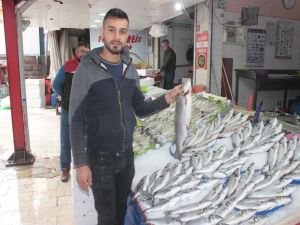Balıkesir Su Ürünleri Fiyatları 04.06.2018