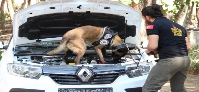 Narkotik Köpekleri Zehir Tacirlerinin Kabusu Olmaya Devam Ediyor