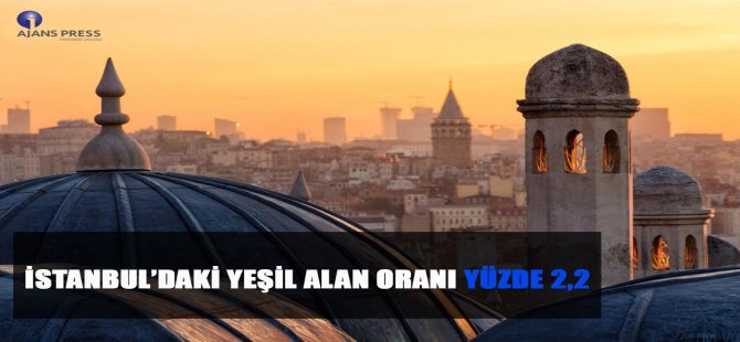 İstanbul’daki Yeşil Alan Oranı Yüzde 2,2