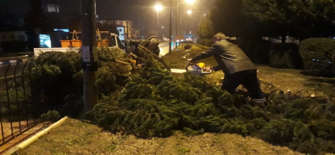 Büyükşehir Şiddetli Rüzgarın Etkilerini Temizledi