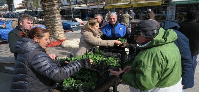 Foça Belediyesi’nden Vatandaşlara Sevgililer Günü Çiçeği