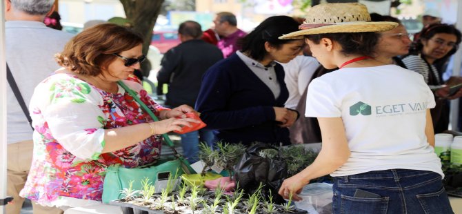 Menteşe’de 30 Bin Fidan Dağıtıldı