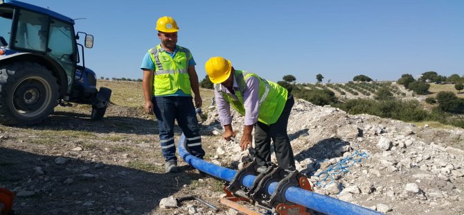 Sağlıklı Bir Yaşam İçin Peynir Tüketin