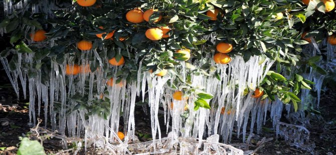 Meteoroloji’den Ege Bölgesi İçin Buzlanma Ve Don Uyarısı