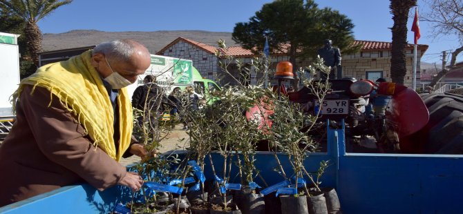 Helvacı’da Zeytin Fidanları Üreticiyle Buluştu