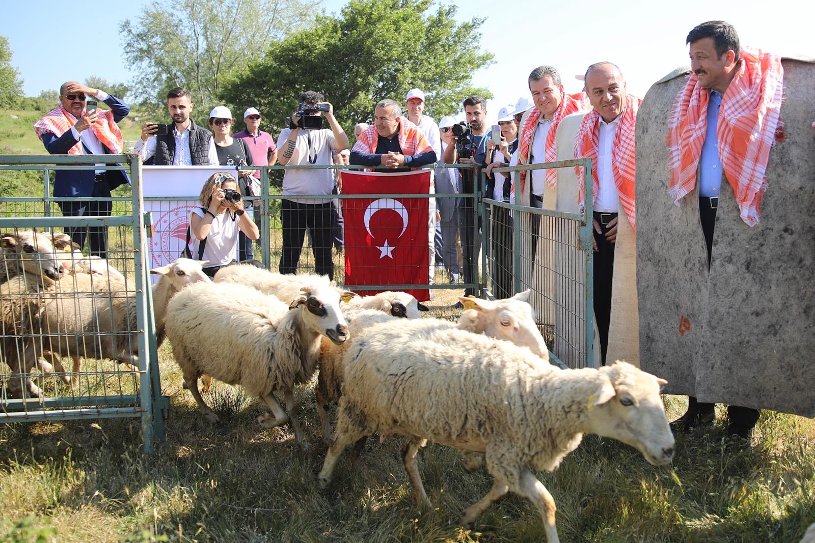 Bergama'da hayvan otlatma sezonu açılışına muhteşem tören