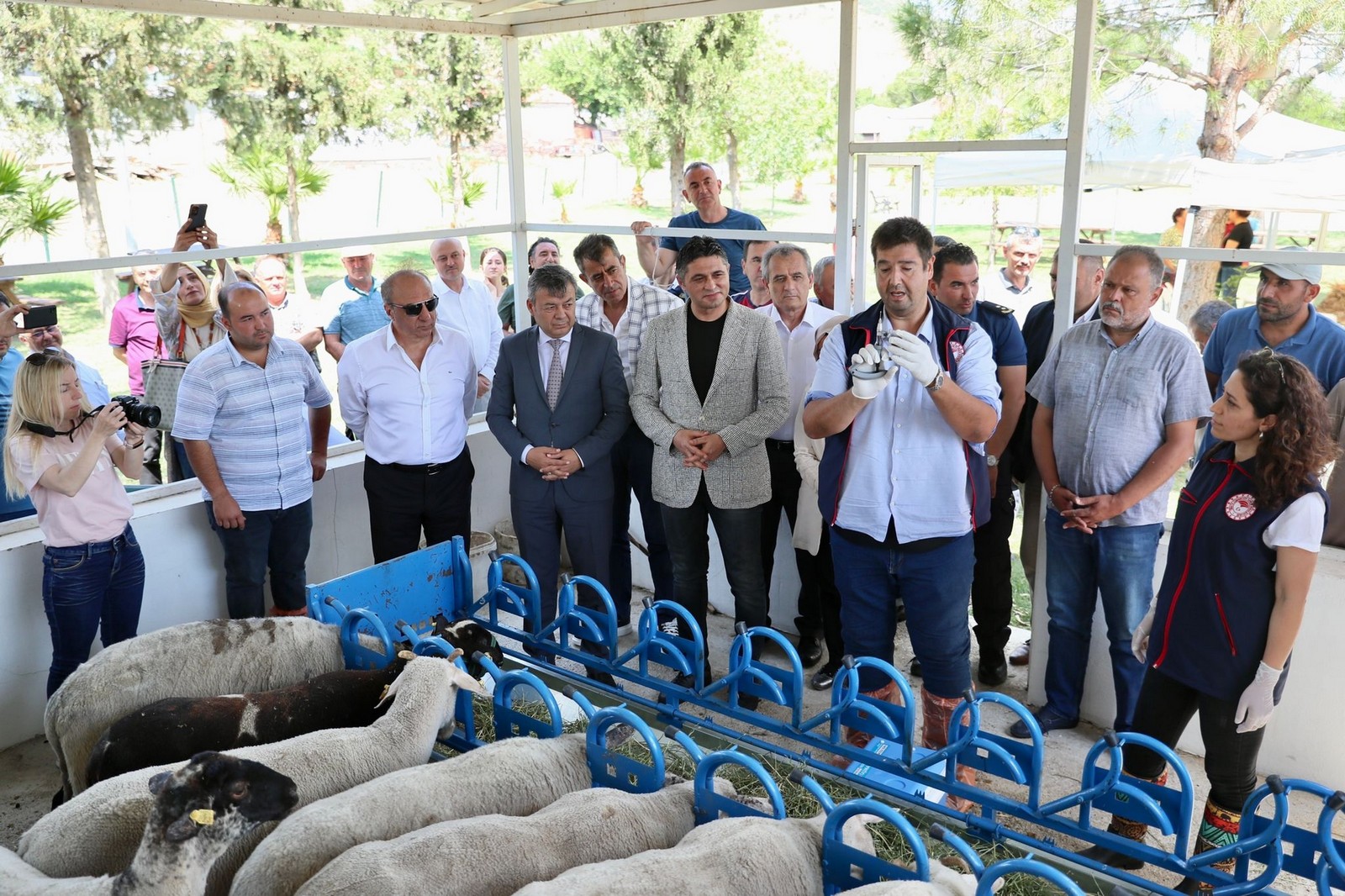 Aliağa’da Yavru Ölümlerine Karşı Aşı Kampanyası Başladı