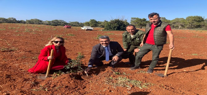 Çeşme Sakızının Kıbrıs’a Yolculuğu