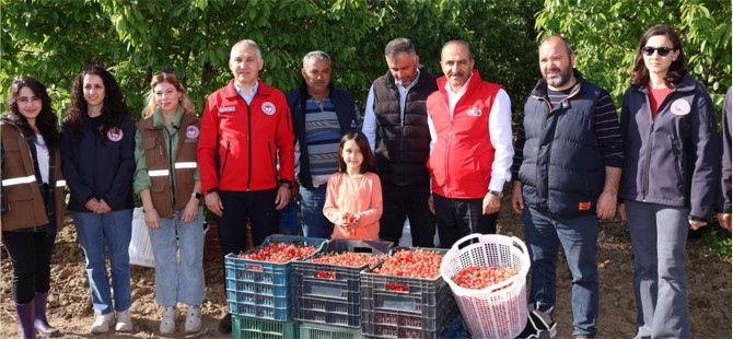 Kirazda rekorlar kırdığımız bir yıl olacak