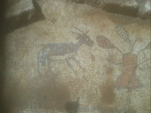 Adıyaman'da Taban Mozaikler Bulundu