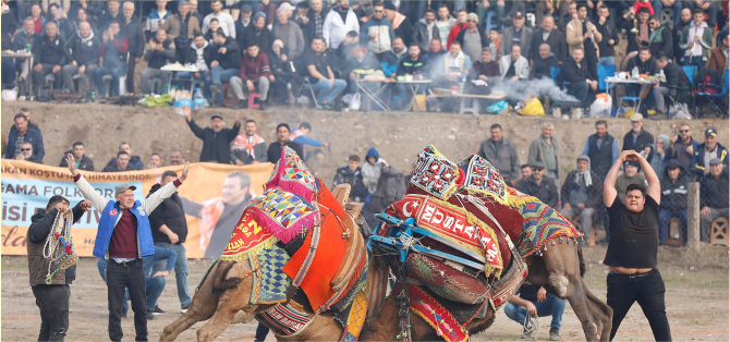 Bergama Folklorik Deve Gösterisi Festivali Yoğun Katılımla Düzenlendi