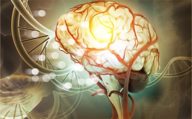 Titreme sorununa karşı beyin pili tedavisi