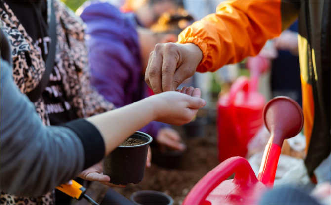 Tohumdan toprağa, topraktan sofraya