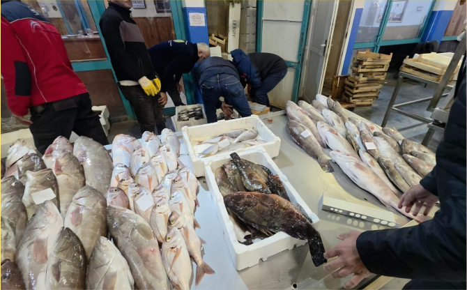 Buca'da Yasadışı Avlanan 45 Kilo Balığa El Konuldu