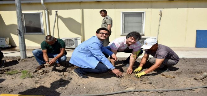 Aliağa’da Fidanlar Toprakla Buluştu