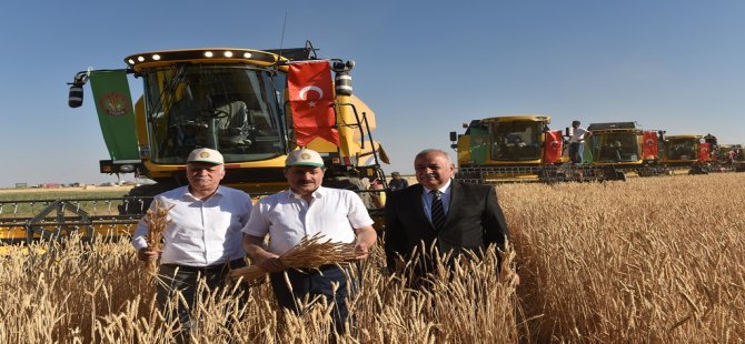 Hasat Bayramı, Bakan Çelik’in Katılımıyla Polatlı’da Yapıldı