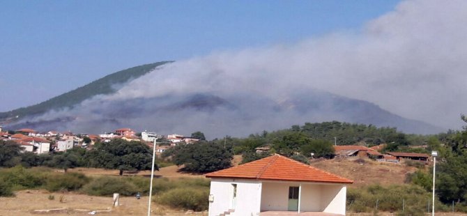 İzmir’de Çıkan Orman Yangını Genişliyor