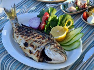 Balıkesir Su Ürünleri Fiyatları 23.08.2016