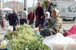 Yabani Otla Ne Yemek Yaparsınız?