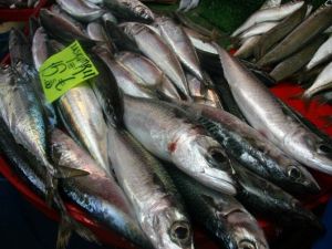 Balıkesir Su Ürünleri Fiyatları 04.10.2016