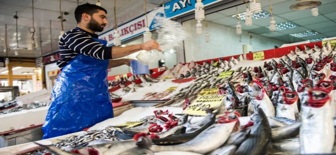 Ankaralılar, 1 ayda 607 ton palamut tüketti.