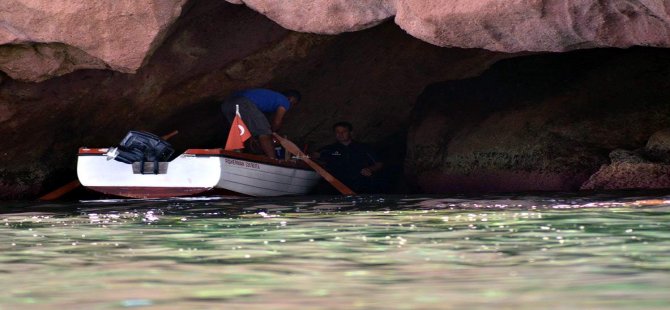 Foça Fokları Gözlem Altına Alındı