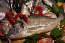 Balık, Su Ürünleri Fiyatları