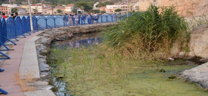 İBB'den Foça Kazı Başkanlığı'na 1 milyon 80 bin TL