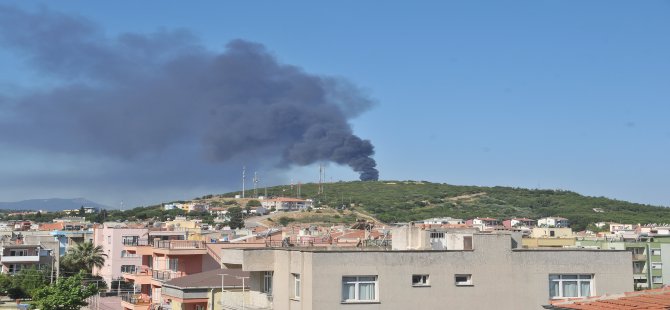 Hava kirliliğini akıllı şehirler önleyecek