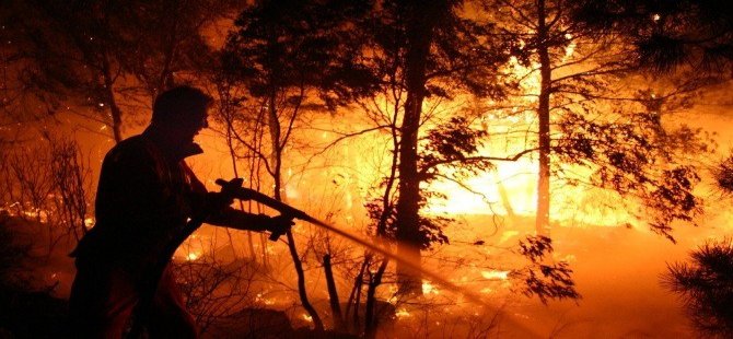 Orman Yangınları Bu Yıl Da Kendini Gösteriyor