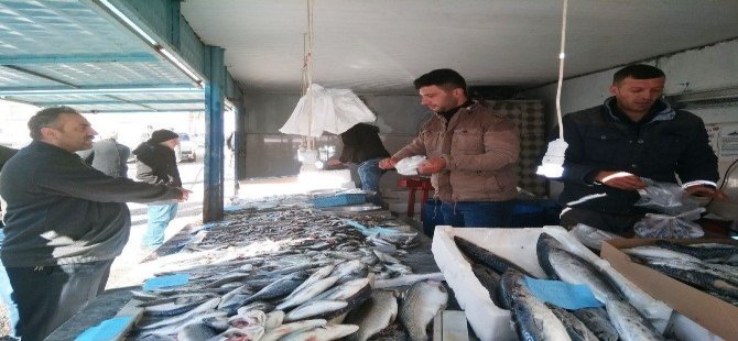 Balıkesir Su Ürünleri Fiyatları 20.01.2017