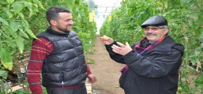 Jeotermal Su Kaynaklarıyla Isıtılan Seralar Yüzlerce Kişinin Geçim Kaynağı Oldu