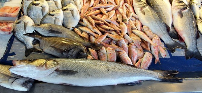 Balıkesir Su Ürünleri Fiyatları / 10.04.2017