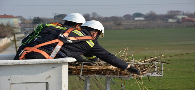 GDZ Elektrik Dağıtım’dan Manisa’da leyleklere 120'nci yuva