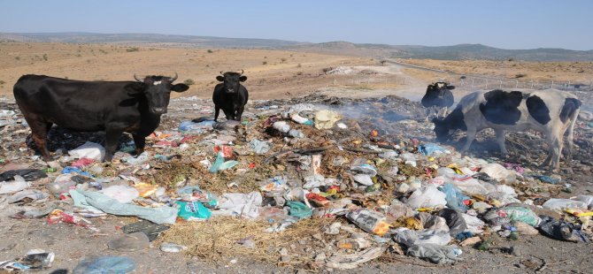 Plastik poşet konusu gündeme oturdu.