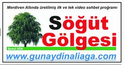 Aliağa'da Söğüt Gölgesi 2