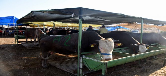 Aliağa’da Kurban Kesim Yerleri ve Fiyatları Belirlendi