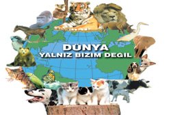 Dünya Hayvan Hakları Günü