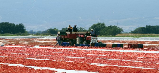 Bergama 14 Yılda Coştu