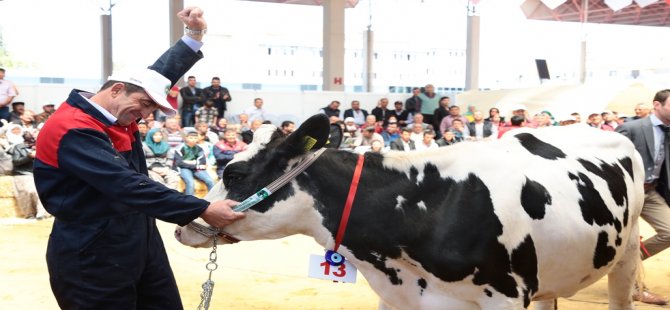 Tarım Ve Hayvancılık Sektörünün Kalbi Sakarya'ta Atacak