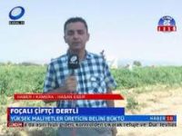 Foçalı Çiftçiler Dertli...