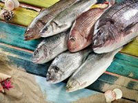 Balıkesir Su Ürünleri Fiyatları 05.02.2019