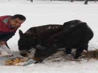 -15 Derecede İçleri Isıtan Çalışma